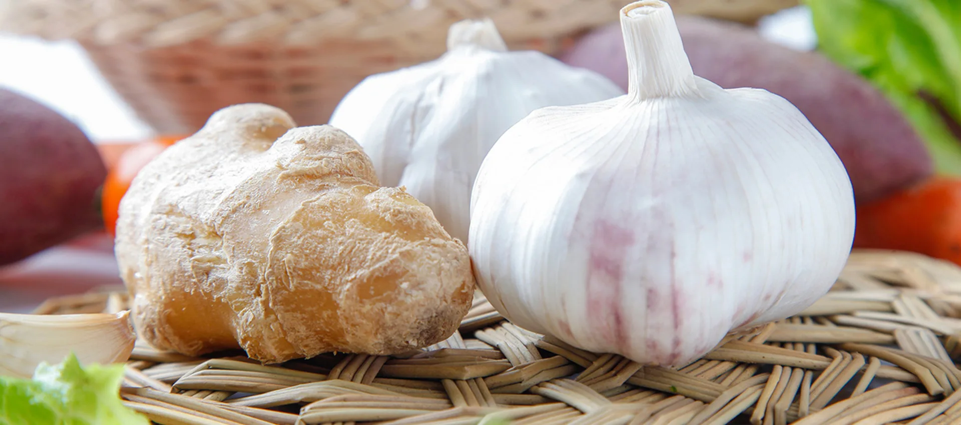 عمده فروشی چینی سیر تازه ممتاز