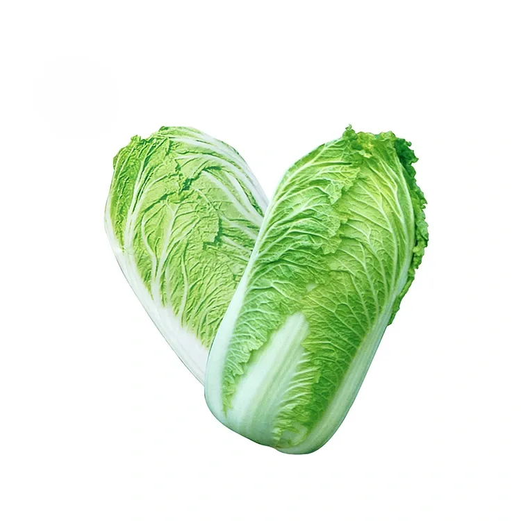 باغ کلم چینی تازه
