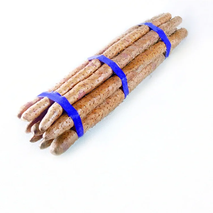 Fresh Chinese Yam