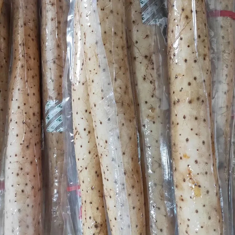 Fresh Chinese Yam