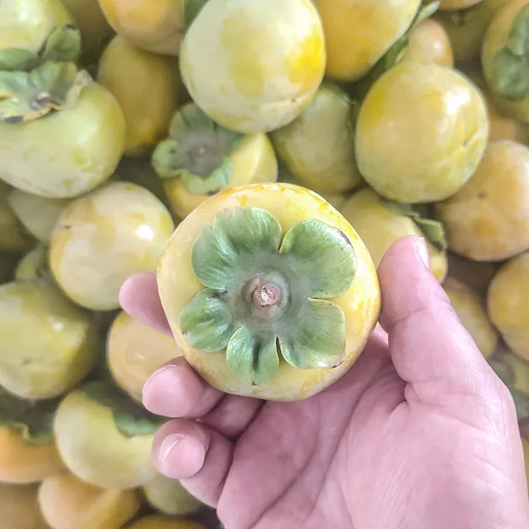 خرمالو ترد تازه درجه یک