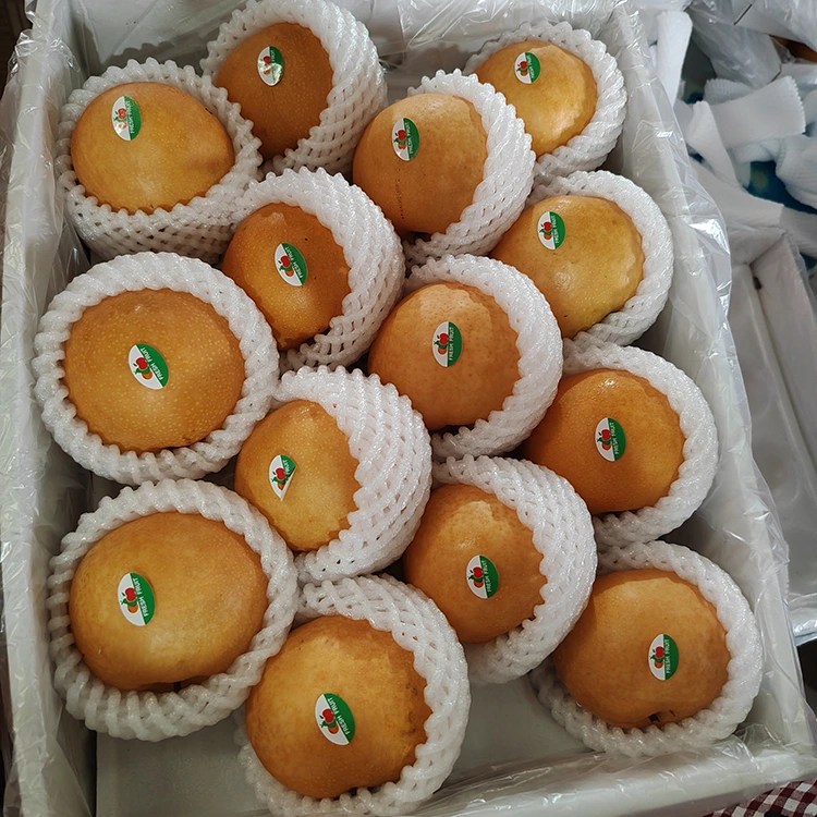 گلابی شینگو ممتاز